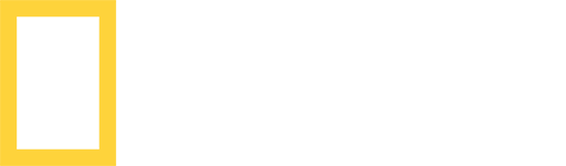 NATIONAL GEOGRAPHIC live on Vyndo Live TV Streaming