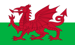 Wales World Cup 2026 matches live on Vyndo Live TV Streaming